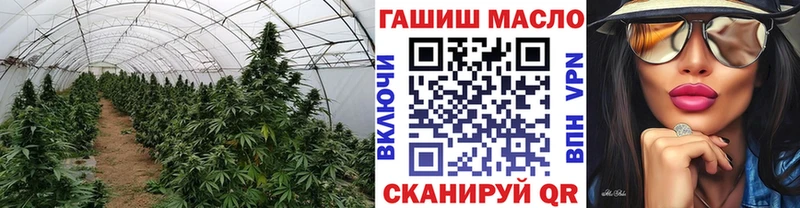 где найти   KRAKEN ONION  ТГК жижа  Назрань 