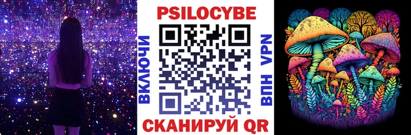 дарнет шоп  omg зеркало  Галлюциногенные грибы Cubensis  Назрань 