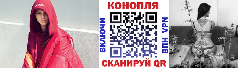 Конопля MAZAR  OMG как зайти  Назрань 